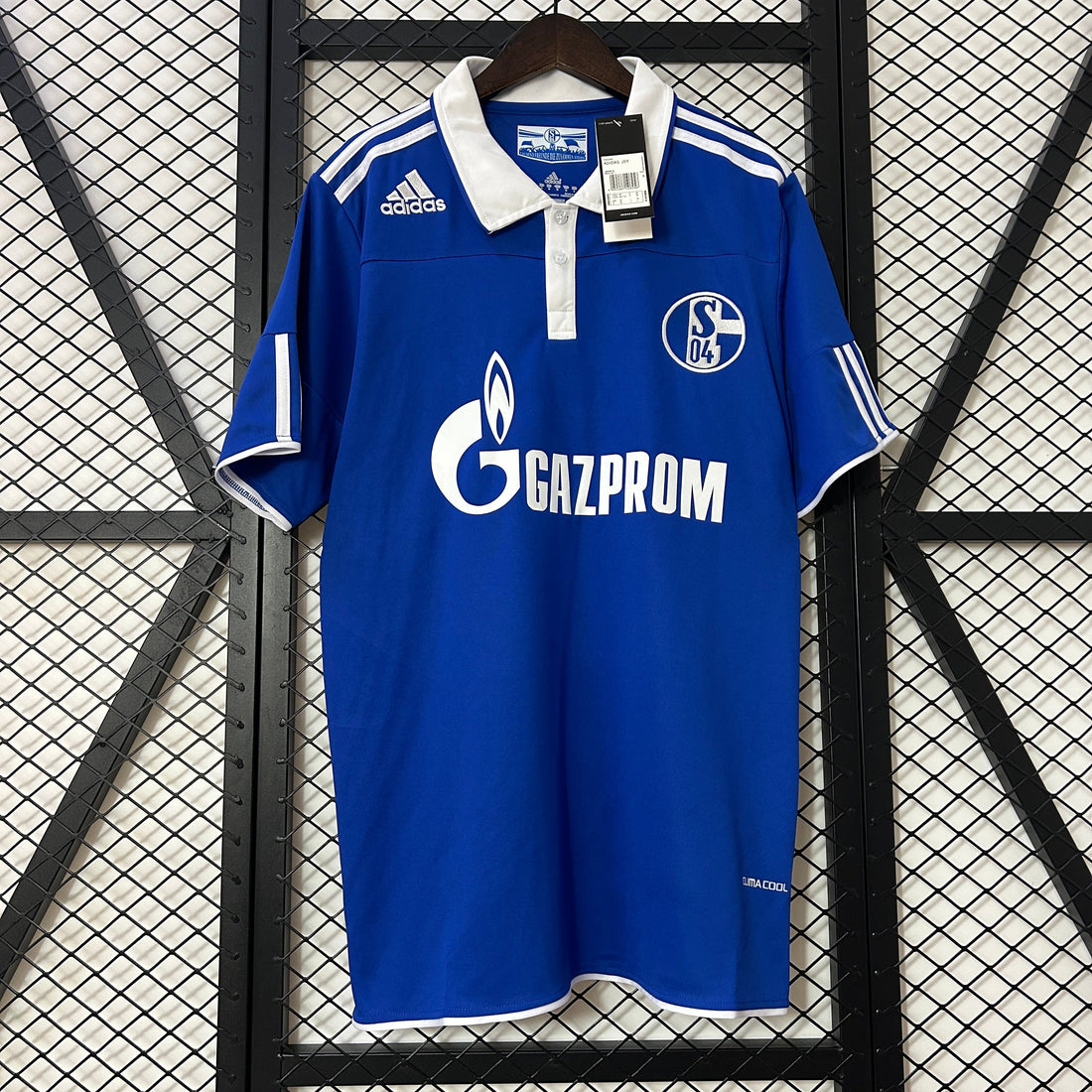 Schalke 04 2010/11 Home