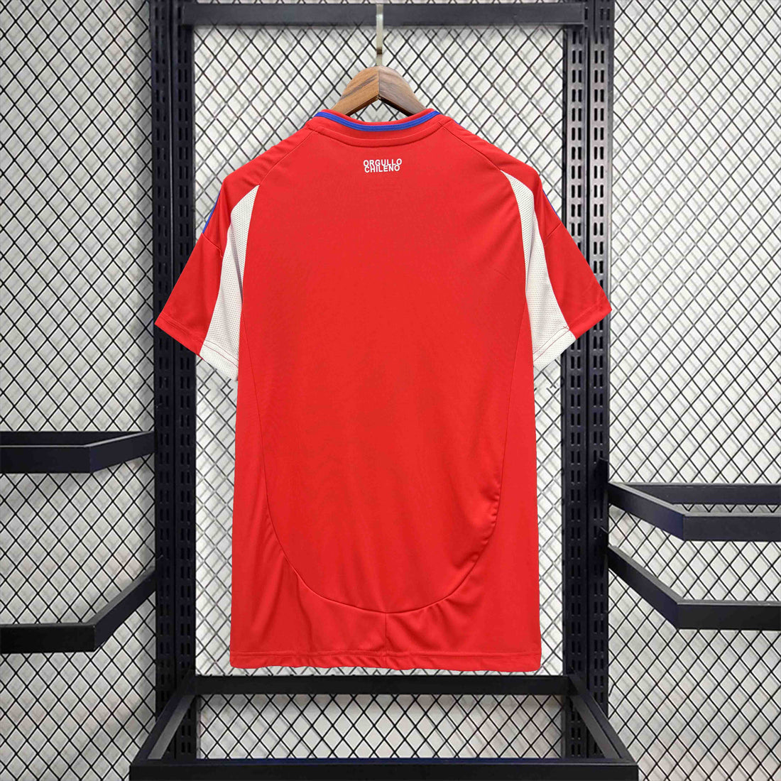 Chile 2024/25 Home