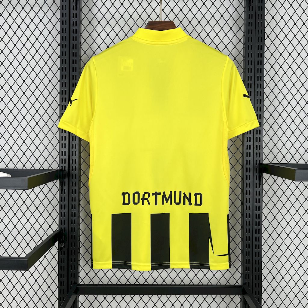 Borussia Dortmund 2012/13 Home