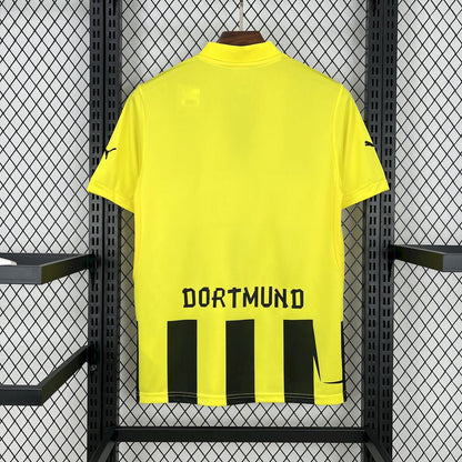 Borussia Dortmund 2012/13 Home