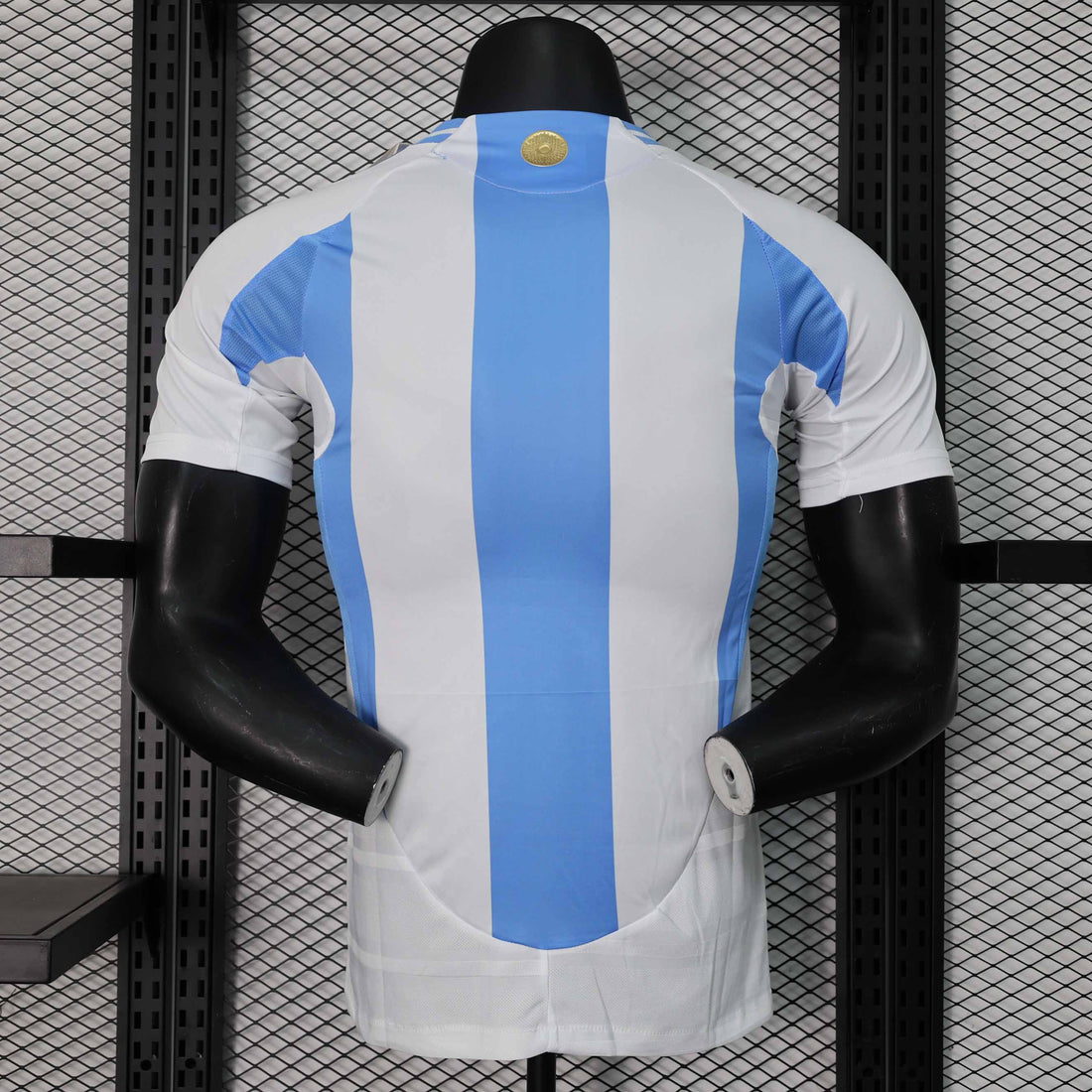 Argentina 2024/25 Home Player Version