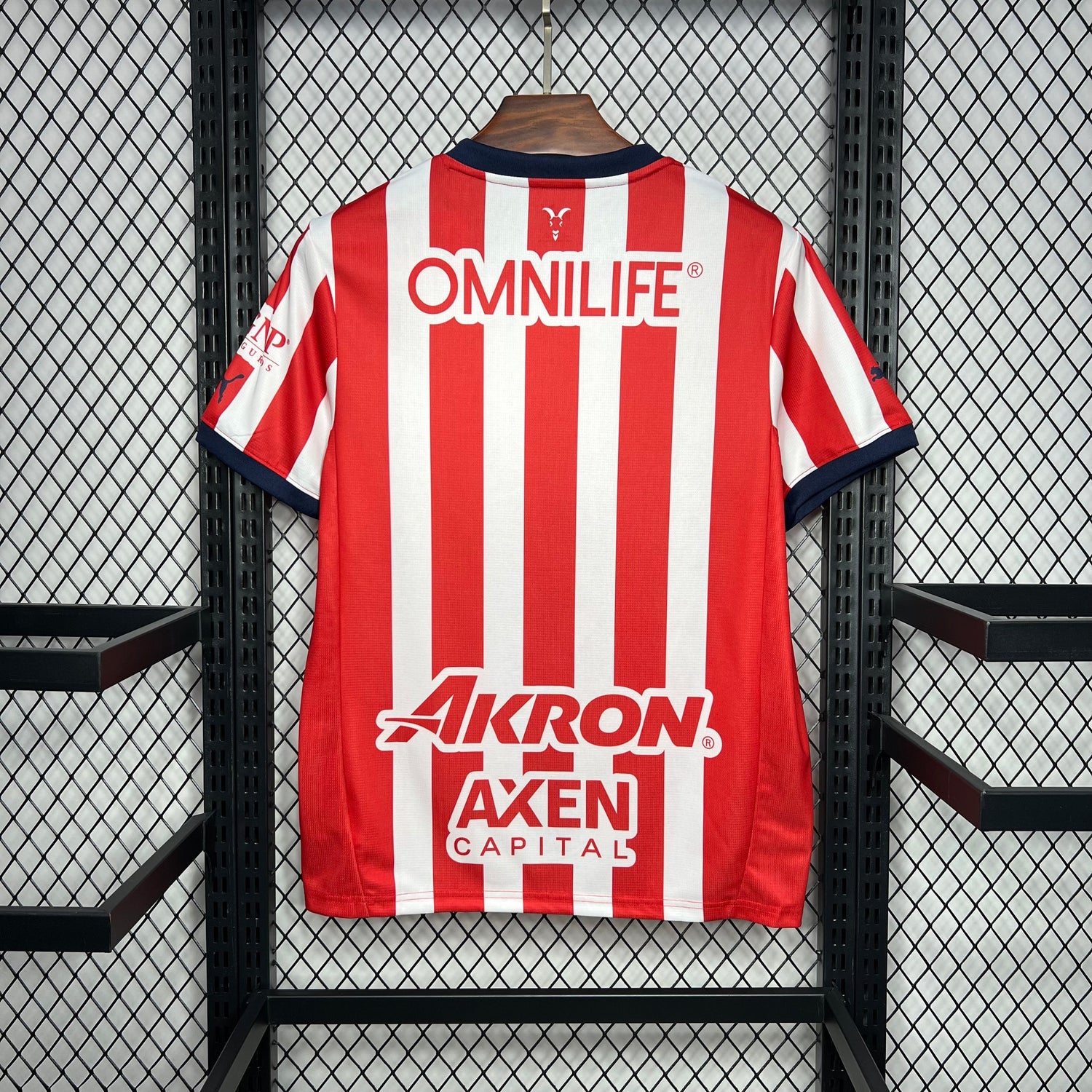 Chivas 2024/25 Home